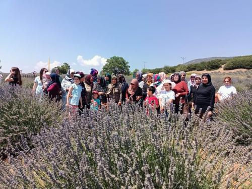 Lavanta bahçeleri gezisi