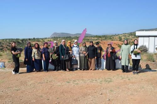 Lavanta bahçeleri gezisi