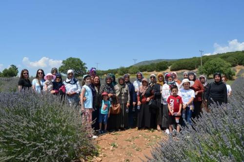 Lavanta bahçeleri gezisi
