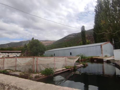 Kuluçkahane